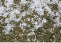 snowy grass